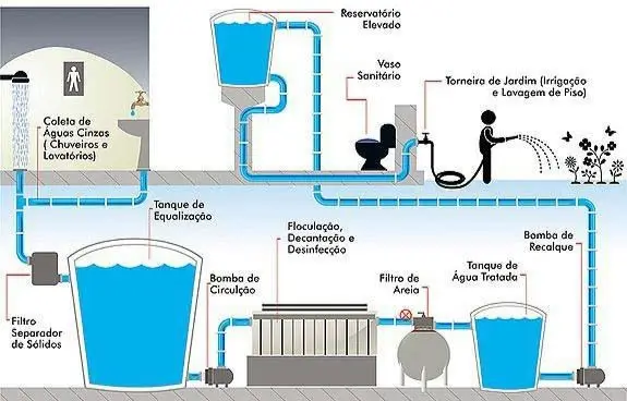 Captação de Água Cinza: Como Reaproveitar Água do Banho e da Pia na Jardinagem